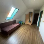 Turul Panzio&pizzeria 3*