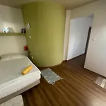B&B Turul Panzio&pizzeria 3*