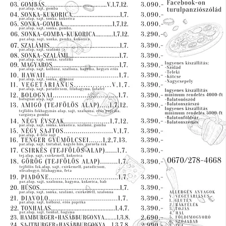 Turul Panzio&pizzeria
